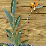 Diromane Affittacamere Braga